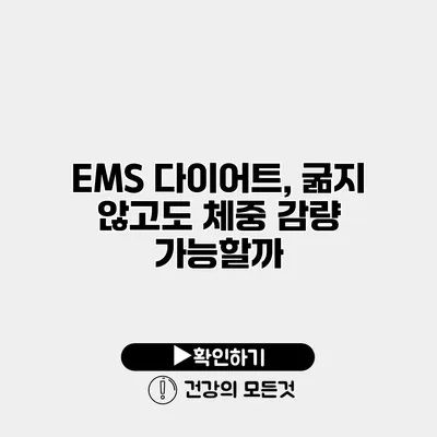 EMS 다이어트, 굶지 않고도 체중 감량 가능할까?