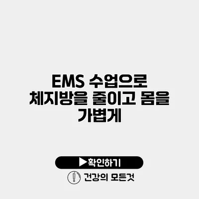 EMS 수업으로 체지방을 줄이고 몸을 가볍게