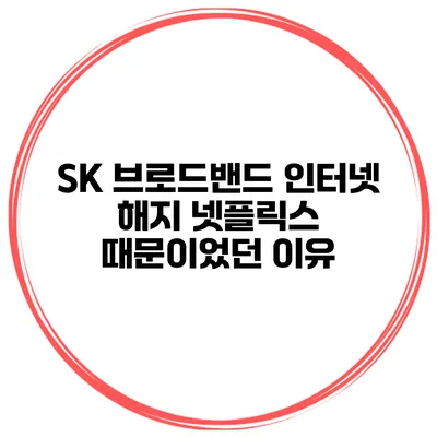 SK 브로드밴드 인터넷 해지 넷플릭스 때문이었던 이유