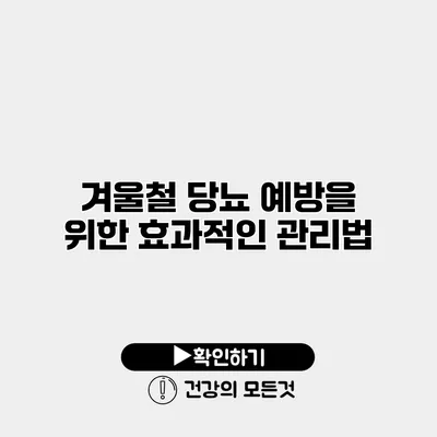 겨울철 당뇨 예방을 위한 효과적인 관리법