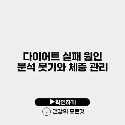 다이어트 실패 원인 분석 붓기와 체중 관리
