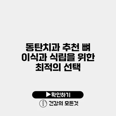 동탄치과 추천 뼈 이식과 식립을 위한 최적의 선택