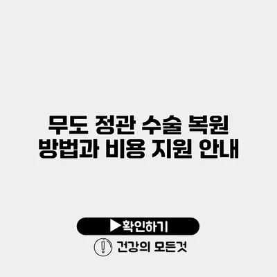 무도 정관 수술 복원 방법과 비용 지원 안내