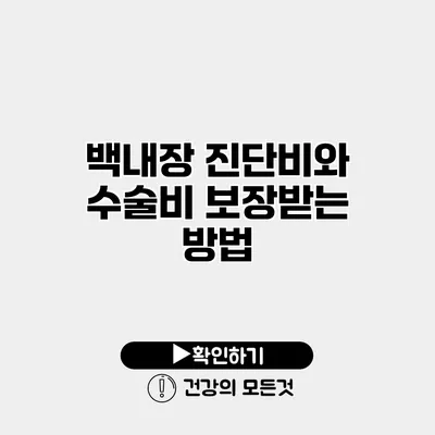 백내장 진단비와 수술비 보장받는 방법