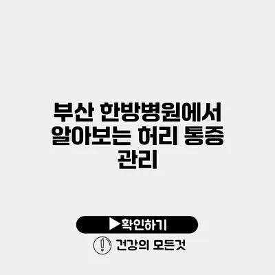 부산 한방병원에서 알아보는 허리 통증 관리