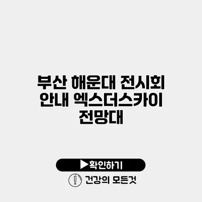 부산 해운대 전시회 안내 엑스더스카이 전망대