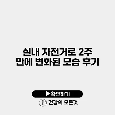 실내 자전거로 2주 만에 변화된 모습 후기