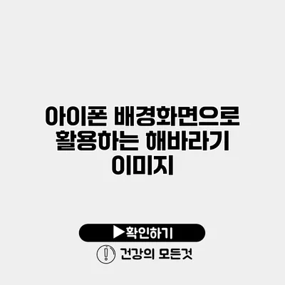 아이폰 배경화면으로 활용하는 해바라기 이미지