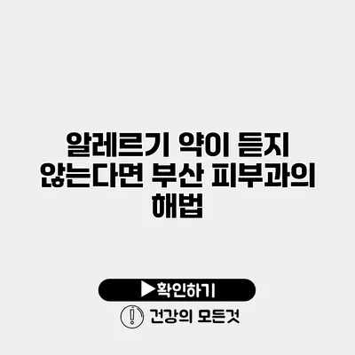 알레르기 약이 듣지 않는다면? 부산 피부과의 해법