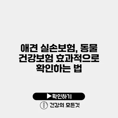 애견 실손보험, 동물 건강보험 효과적으로 확인하는 법