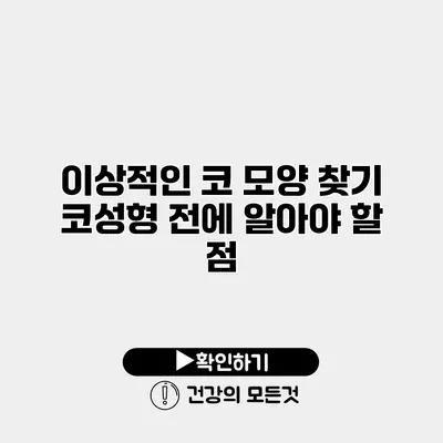 이상적인 코 모양 찾기 코성형 전에 알아야 할 점