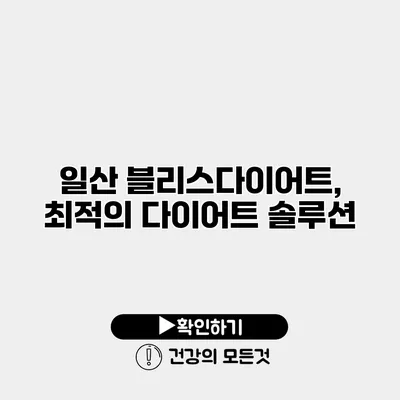 일산 블리스다이어트, 최적의 다이어트 솔루션