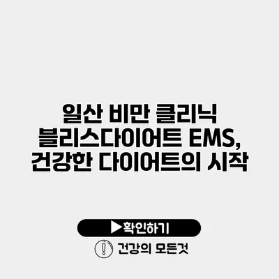 일산 비만 클리닉 블리스다이어트 EMS, 건강한 다이어트의 시작