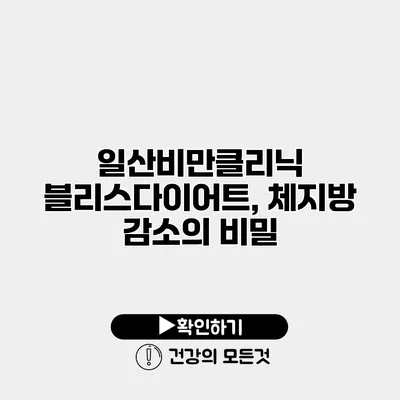 일산비만클리닉 블리스다이어트, 체지방 감소의 비밀
