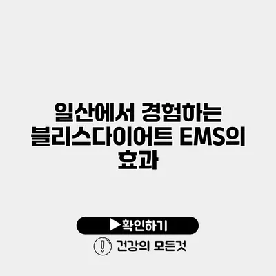 일산에서 경험하는 블리스다이어트 EMS의 효과