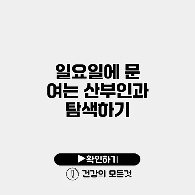 일요일에 문 여는 산부인과 탐색하기