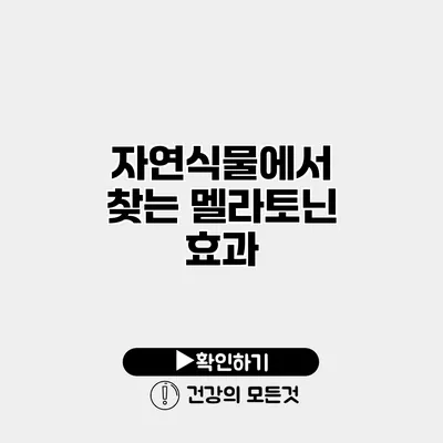 자연식물에서 찾는 멜라토닌 효과