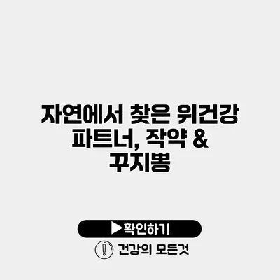 자연에서 찾은 위건강 파트너, 작약 & 꾸지뽕