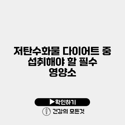 저탄수화물 다이어트 중 섭취해야 할 필수 영양소