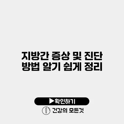 지방간 증상 및 진단 방법 알기 쉽게 정리