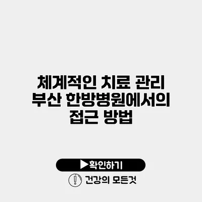 체계적인 치료 관리 부산 한방병원에서의 접근 방법