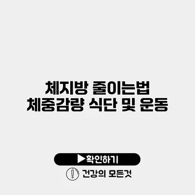 체지방 줄이는법 체중감량 식단 및 운동