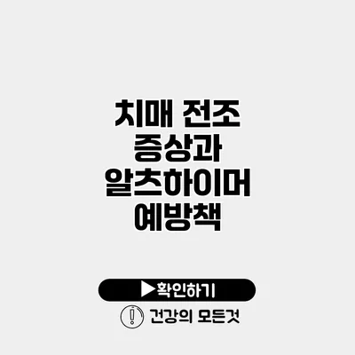 치매 전조 증상과 알츠하이머 예방책