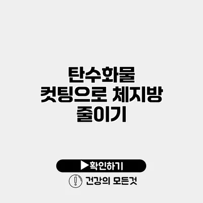 탄수화물 컷팅으로 체지방 줄이기