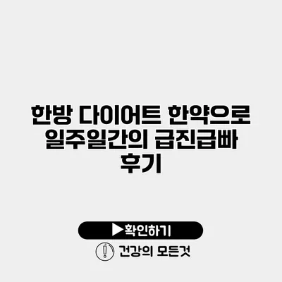 한방 다이어트 한약으로 일주일간의 급진급빠 후기