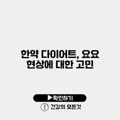 한약 다이어트, 요요 현상에 대한 고민
