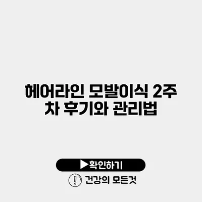 헤어라인 모발이식 2주 차 후기와 관리법