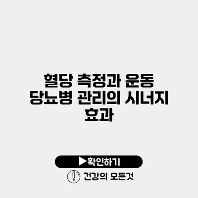 혈당 측정과 운동 당뇨병 관리의 시너지 효과