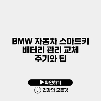 BMW 자동차 스마트키 배터리 관리 교체 주기와 팁