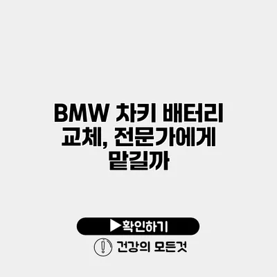 BMW 차키 배터리 교체, 전문가에게 맡길까?