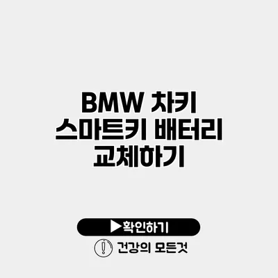 BMW 차키 스마트키 배터리 교체하기