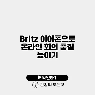 Britz 이어폰으로 온라인 회의 품질 높이기