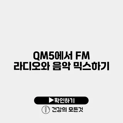 QM5에서 FM 라디오와 음악 믹스하기