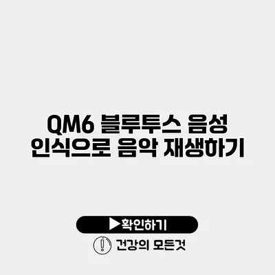 QM6 블루투스 음성 인식으로 음악 재생하기