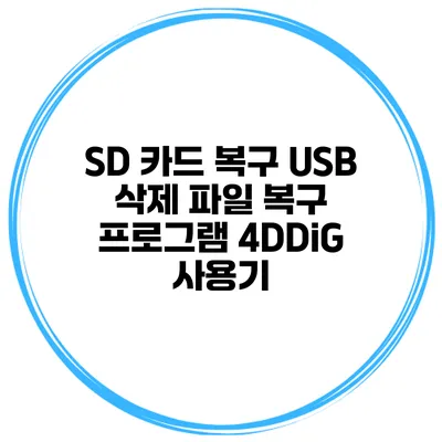 SD 카드 복구 USB 삭제 파일 복구 프로그램 4DDiG 사용기