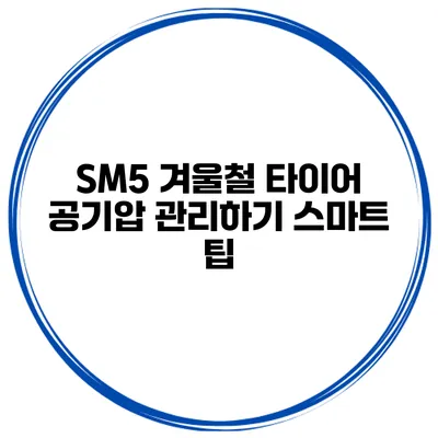 SM5 겨울철 타이어 공기압 관리하기 스마트 팁