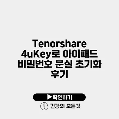 Tenorshare 4uKey로 아이패드 비밀번호 분실 초기화 후기