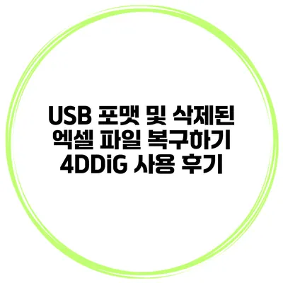 USB 포맷 및 삭제된 엑셀 파일 복구하기 4DDiG 사용 후기