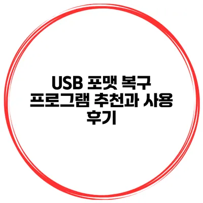 USB 포맷 복구 프로그램 추천과 사용 후기