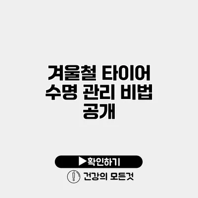 겨울철 타이어 수명 관리 비법 공개