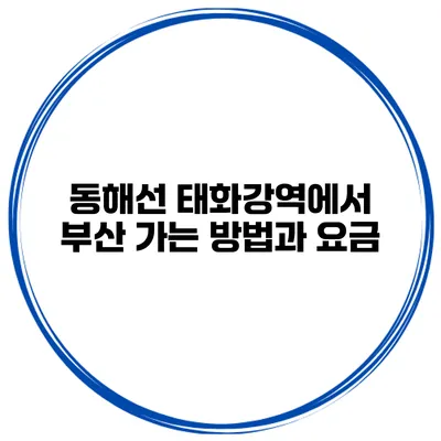동해선 태화강역에서 부산 가는 방법과 요금