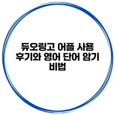 듀오링고 어플 사용 후기와 영어 단어 암기 비법