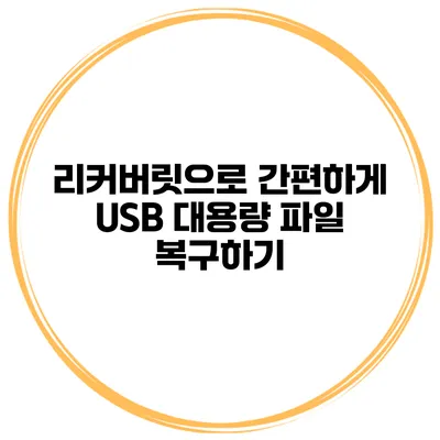 리커버릿으로 간편하게 USB 대용량 파일 복구하기
