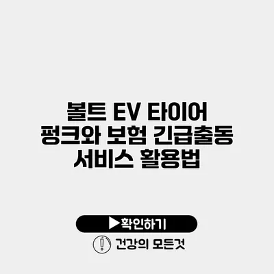 볼트 EV 타이어 펑크와 보험 긴급출동 서비스 활용법
