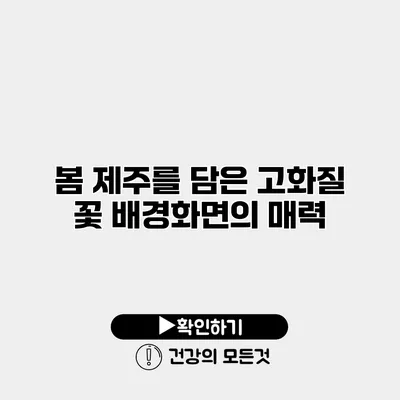 봄 제주를 담은 고화질 꽃 배경화면의 매력