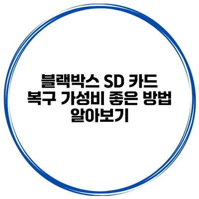 블랙박스 SD 카드 복구 가성비 좋은 방법 알아보기